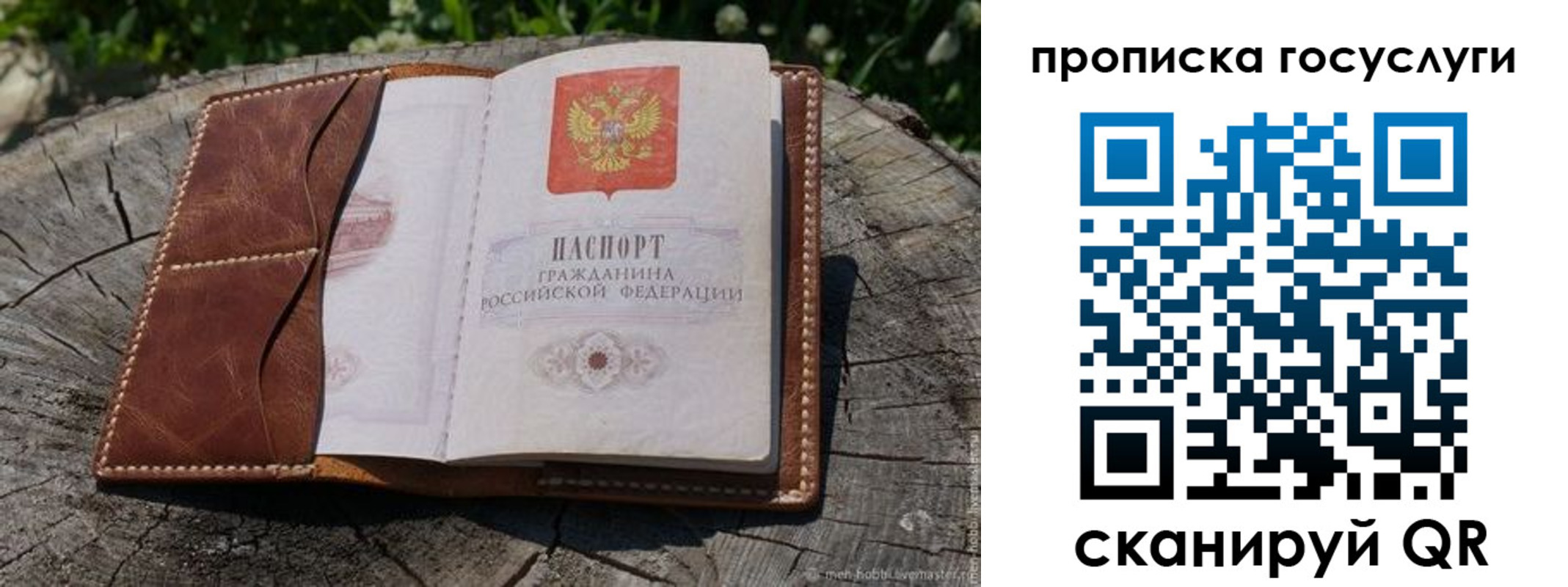 прописка для школы в Кировской области